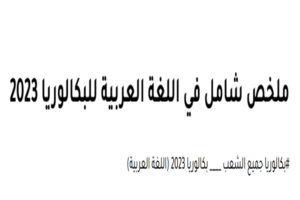 Read more about the article ملخص شامل في اللغة العربية للبكالوريا 2023