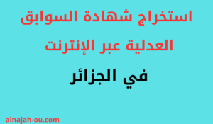 Read more about the article استخراج شهادة السوابق العدلية عبر الإنترنت في الجزائر
