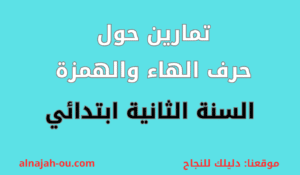 Read more about the article تمارين حول حرف الهاء والهمزة السنة الثانية ابتدائي